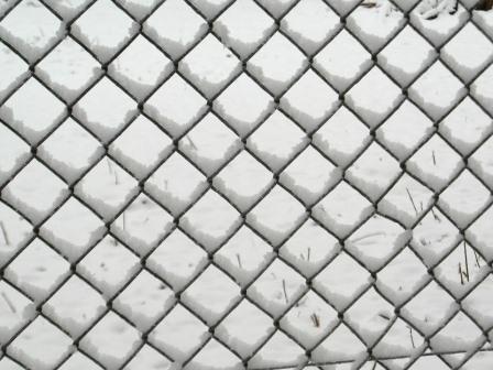 wire-mesh-fence-260038_960_720